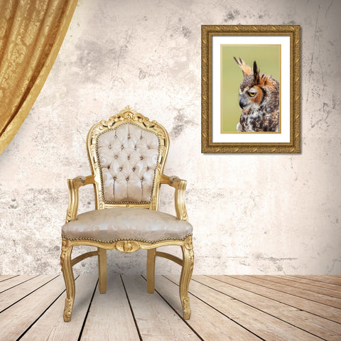 Great horned owl portrait Gold Ornate Wood Framed Art Print with Double Matting by Jones, Adam