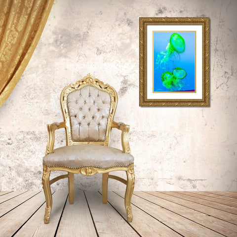 Graceful Jellyfish in Aquarium Gold Ornate Wood Framed Art Print with Double Matting by Miller, Anna
