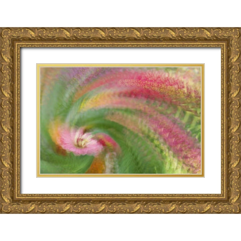 Abstract swirl of pink flower Gold Ornate Wood Framed Art Print with Double Matting by Anon, Ellen