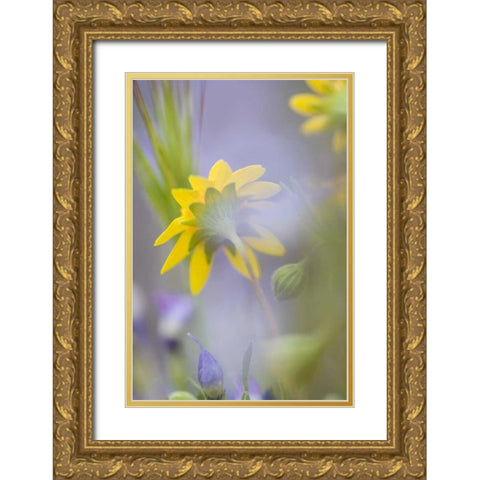 Close-up of wildflowers Gold Ornate Wood Framed Art Print with Double Matting by Anon, Ellen
