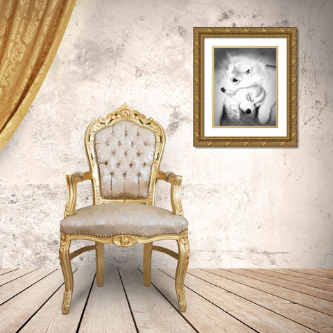 Abstract of Siberian husky puppies Gold Ornate Wood Framed Art Print with Double Matting by Jaynes Gallery