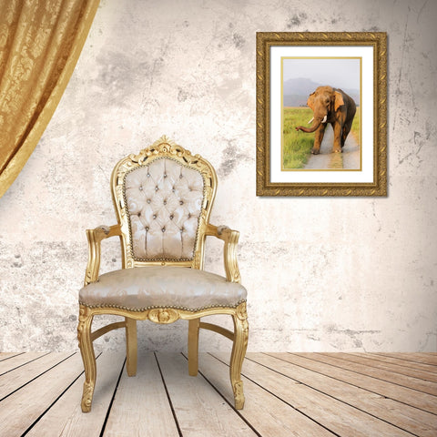 Musth Tusker on the jungle track-Corbett National Park-India Gold Ornate Wood Framed Art Print with Double Matting by Rajput, Jagdeep