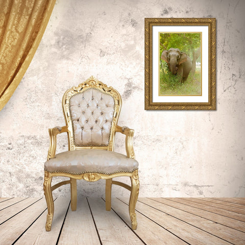 Asian Elephant on the edge of forest Corbett National Park-India Gold Ornate Wood Framed Art Print with Double Matting by Rajput, Jagdeep