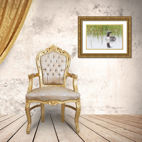 Red-throated Loon Gold Ornate Wood Framed Art Print with Double Matting by Archer, Ken