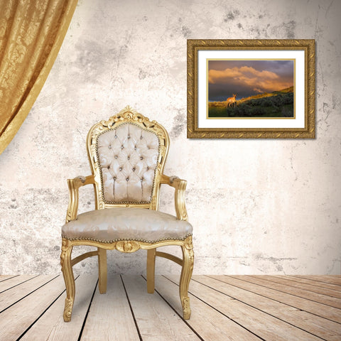 Pronghorn-clearing thunderstorm Gold Ornate Wood Framed Art Print with Double Matting by Archer, Ken
