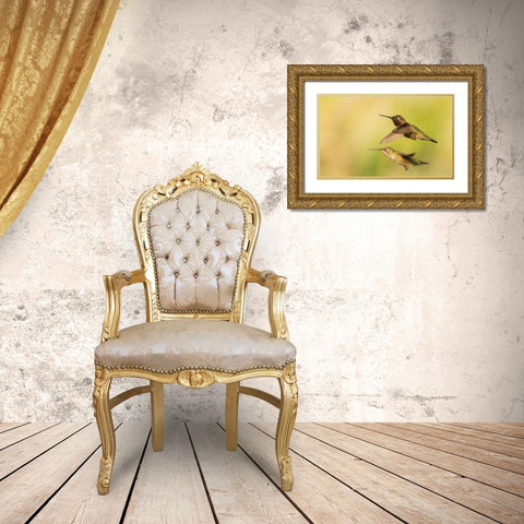 Annas hummingbird pair Gold Ornate Wood Framed Art Print with Double Matting by Archer, Ken