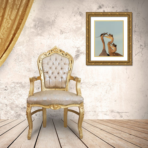 Great blue heron and chick waiting to be fed Gold Ornate Wood Framed Art Print with Double Matting by Pryor, Maresa
