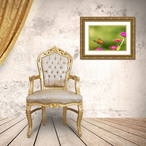 Monarch flying Gold Ornate Wood Framed Art Print with Double Matting by Day, Richard and Susan