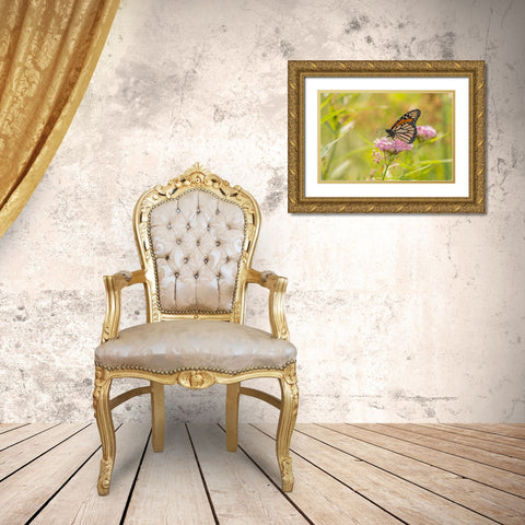 Monarch on swamp milkweed Gold Ornate Wood Framed Art Print with Double Matting by Day, Richard and Susan