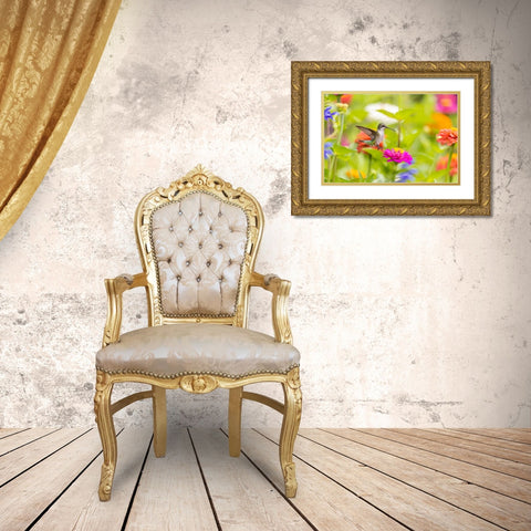 Ruby-throated hummingbird Gold Ornate Wood Framed Art Print with Double Matting by Day, Richard and Susan