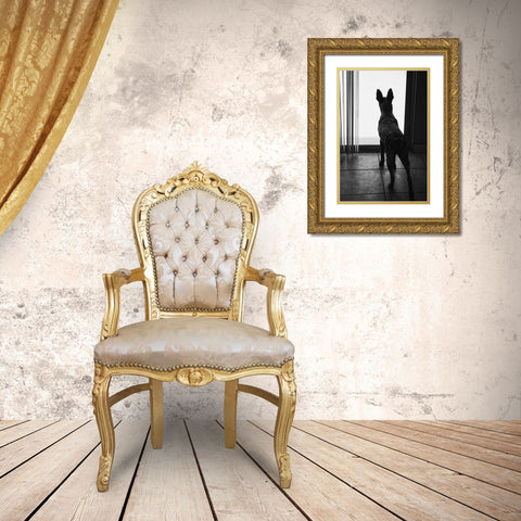 Australian cattle dog Gold Ornate Wood Framed Art Print with Double Matting by Muench, Zandria