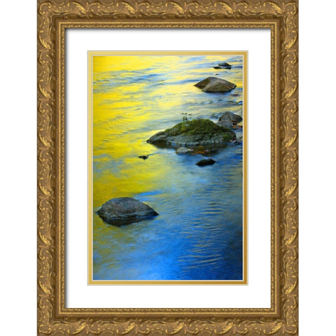 Colors Reflected in Water Gold Ornate Wood Framed Art Print with Double Matting by Miller, Anna