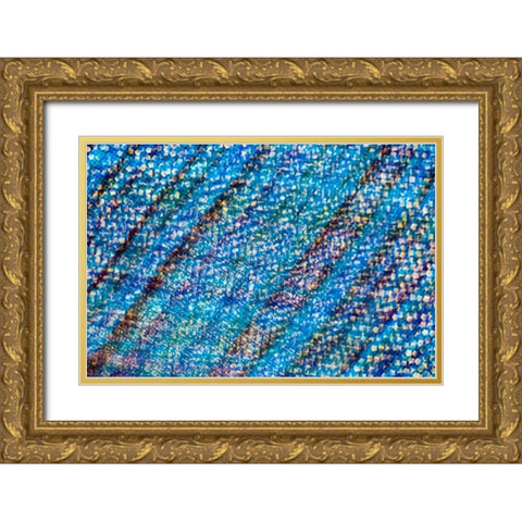Colorful fabric detail Gold Ornate Wood Framed Art Print with Double Matting by Muench, Zandria