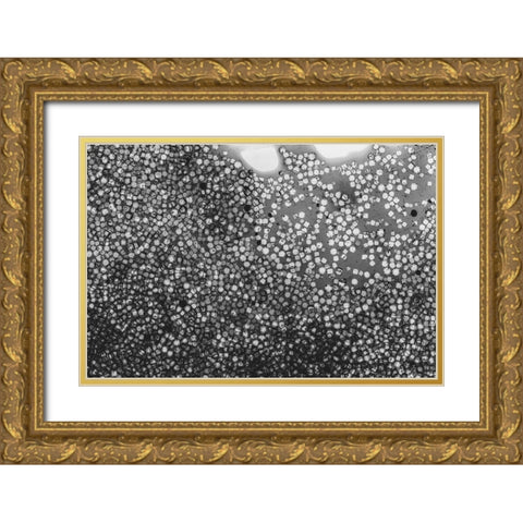 Beet juice and salt crystals Gold Ornate Wood Framed Art Print with Double Matting by Muench, Zandria