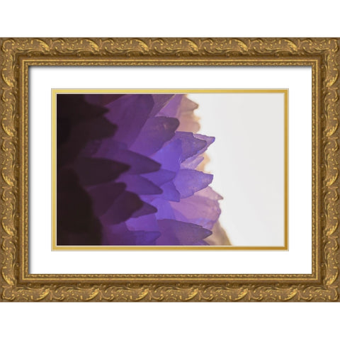 Rose Quartz Gold Ornate Wood Framed Art Print with Double Matting by Muench, Zandria