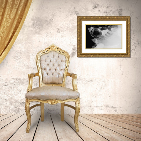 Quartz crystals Gold Ornate Wood Framed Art Print with Double Matting by Muench, Zandria