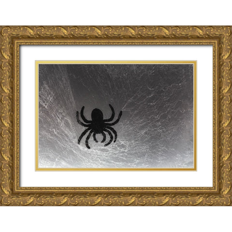 Spider on web Gold Ornate Wood Framed Art Print with Double Matting by Muench, Zandria