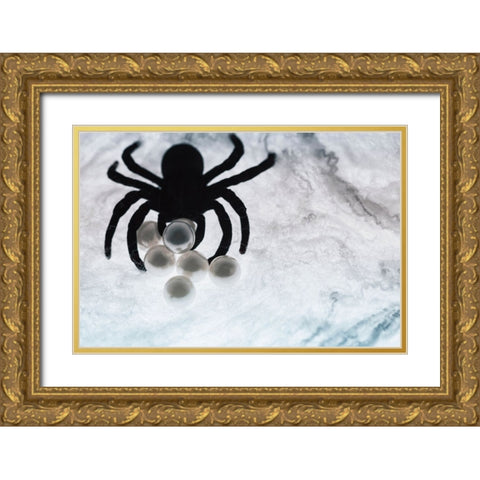 Spider on web Gold Ornate Wood Framed Art Print with Double Matting by Muench, Zandria
