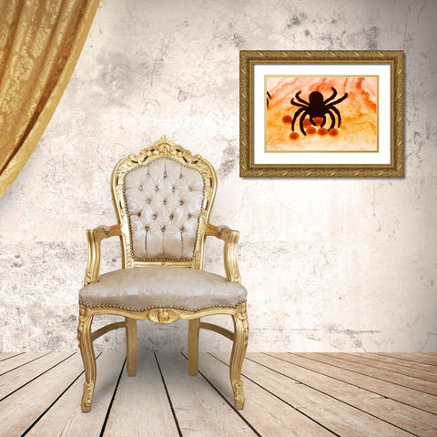 Spider on web Gold Ornate Wood Framed Art Print with Double Matting by Muench, Zandria