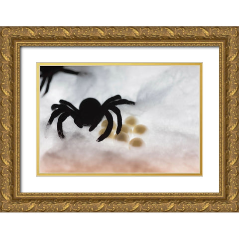 Spider on web Gold Ornate Wood Framed Art Print with Double Matting by Muench, Zandria