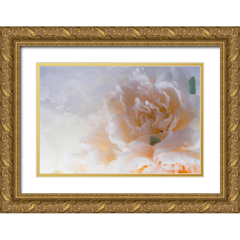Flowers and light Gold Ornate Wood Framed Art Print with Double Matting by Muench, Zandria