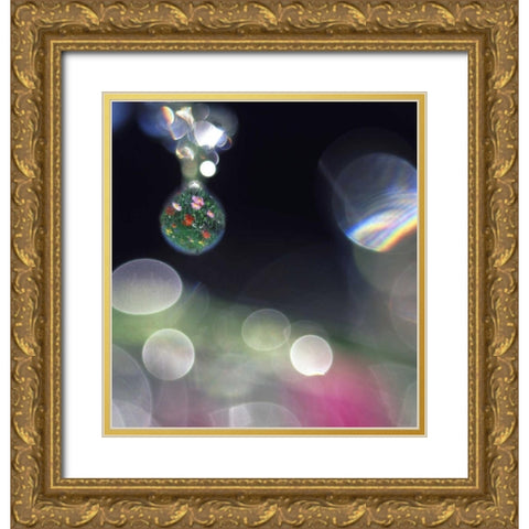 Dew on flowers with flower field in one drop Gold Ornate Wood Framed Art Print with Double Matting by Satushek, Steve