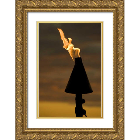 Fiji, Viti Levu, Lautoka Tiki torch at night Gold Ornate Wood Framed Art Print with Double Matting by Kaveney, Wendy