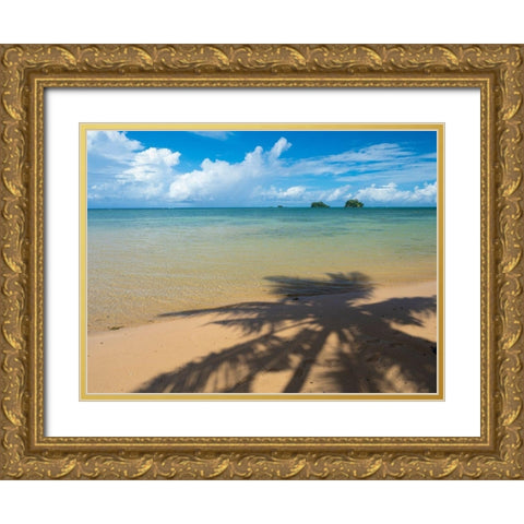 Fiji-Taveuni Island Silhouette of a palm tree on sandy beach with blue sky Gold Ornate Wood Framed Art Print with Double Matting by Merrill Images