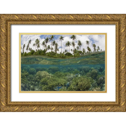 Solomon Islands Reef and island palm trees Gold Ornate Wood Framed Art Print with Double Matting by Shimlock, Jones
