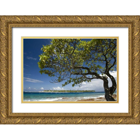 French Polynesia, Rangiroa Tree on the shore Gold Ornate Wood Framed Art Print with Double Matting by Kaveney, Wendy