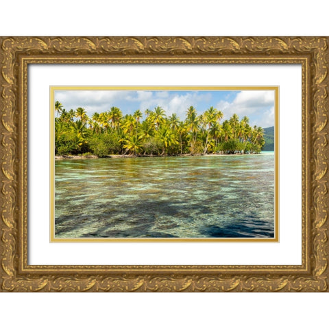 French Polynesia- Tahaa. Ocean corals and tropical forest. Gold Ornate Wood Framed Art Print with Double Matting by Jaynes Gallery