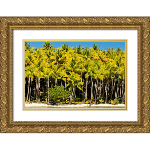 French Polynesia- Bora Bora. Palm trees and beach. Gold Ornate Wood Framed Art Print with Double Matting by Jaynes Gallery