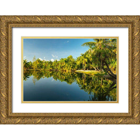 French Polynesia- Tahaa. Tropical jungle reflects in lagoon. Gold Ornate Wood Framed Art Print with Double Matting by Jaynes Gallery