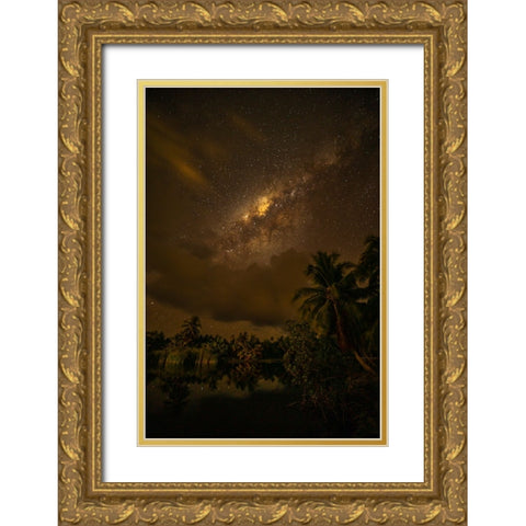 French Polynesia- Tahaa. Palm trees and night sky with Milky Way. Gold Ornate Wood Framed Art Print with Double Matting by Jaynes Gallery