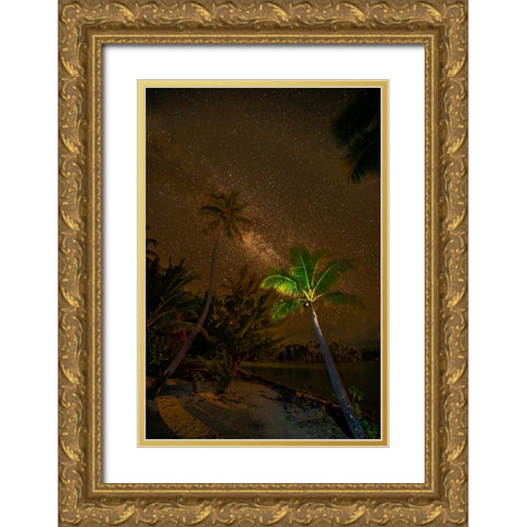 French Polynesia- Tahaa. Palm trees and night sky with Milky Way. Gold Ornate Wood Framed Art Print with Double Matting by Jaynes Gallery