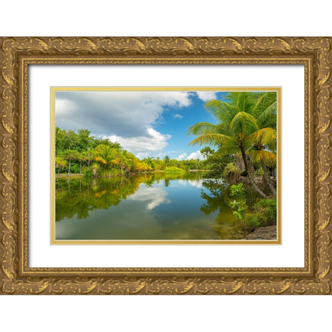 French Polynesia- Tahaa. Tropical jungle reflects in lagoon. Gold Ornate Wood Framed Art Print with Double Matting by Jaynes Gallery