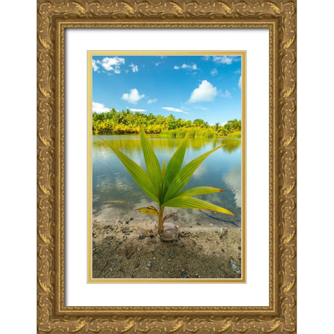 French Polynesia- Tahaa. Tropical jungle reflects in lagoon. Gold Ornate Wood Framed Art Print with Double Matting by Jaynes Gallery