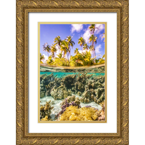 French Polynesia- Tahaa. Under/above water split of coral and palm trees. Gold Ornate Wood Framed Art Print with Double Matting by Jaynes Gallery