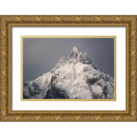 South America-Argentina-Tierra del Fuego Snowy peak of Mt Olivia  Gold Ornate Wood Framed Art Print with Double Matting by Jaynes Gallery