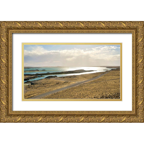 Argentina-Santa Cruz Puerto Deseado-Deseado River estuary in low tide Gold Ornate Wood Framed Art Print with Double Matting by Molinari, Michele