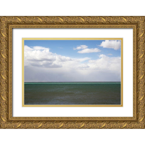 Argentina-Santa Cruz Puerto Santa Cruz-river Santa Cruz under stormy clouds Gold Ornate Wood Framed Art Print with Double Matting by Molinari, Michele