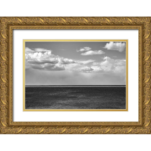 Argentina-Santa Cruz Puerto Santa Cruz-river Santa Cruz under stormy clouds Gold Ornate Wood Framed Art Print with Double Matting by Molinari, Michele