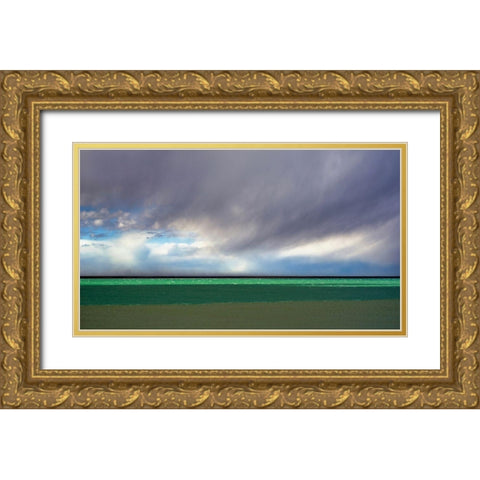 Argentina-Santa Cruz Puerto Santa Cruz-river Santa Cruz under stormy clouds Gold Ornate Wood Framed Art Print with Double Matting by Molinari, Michele