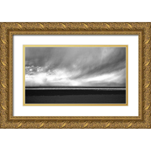 Argentina-Santa Cruz Puerto Santa Cruz-river Santa Cruz under stormy clouds Gold Ornate Wood Framed Art Print with Double Matting by Molinari, Michele