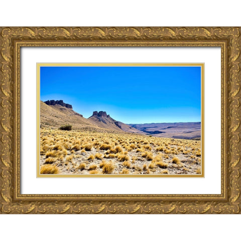 Argentina-Santa Cruz Alero Charcamata (cave paintings site) and surroundings Gold Ornate Wood Framed Art Print with Double Matting by Molinari, Michele