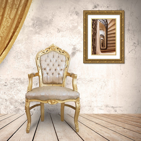 Argentina- Buenos Aires. Spiral staircase. Gold Ornate Wood Framed Art Print with Double Matting by Haseltine, Tom