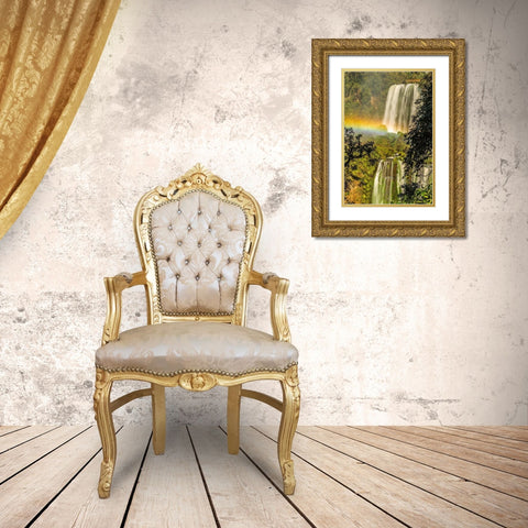 Brazil-Iguazu Falls Landscape of waterfalls  Gold Ornate Wood Framed Art Print with Double Matting by Jaynes Gallery
