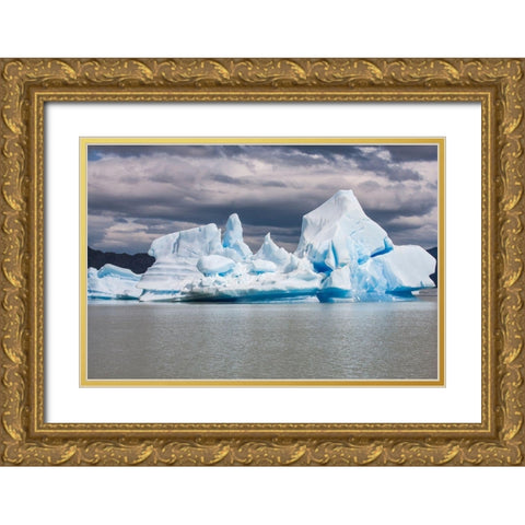 Parc Nacional Torres del Paine is Lago Grey where one finds both glaciers and floating icebergs Gold Ornate Wood Framed Art Print with Double Matting by Ostrowitz, Mallorie