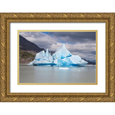 Located within Parc Nacional Torres del Paine-this lake is home to numerous icebergs and glaciers Gold Ornate Wood Framed Art Print with Double Matting by Ostrowitz, Mallorie