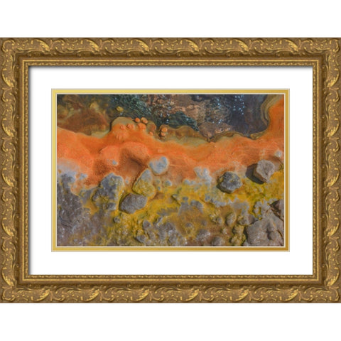 Andes-at 14,000 feet are the geysers of El Tatio-the third largest geyser field in the world Gold Ornate Wood Framed Art Print with Double Matting by Ostrowitz, Mallorie